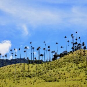 marcelot87-valley-996487_1920